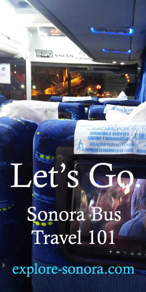 Learn to travel by bus to Sonora, Mexico