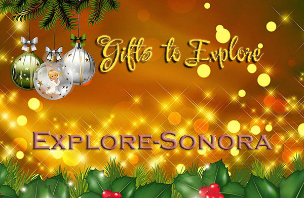 explore-gifts-600